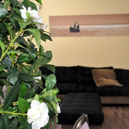 Hotel Miramare Pineto