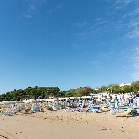 Miramare 3* Pineto